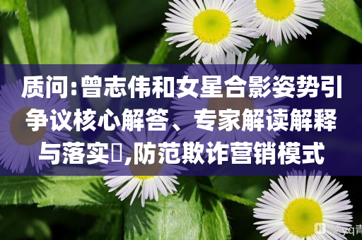 質(zhì)問:曾志偉和女星合影姿勢(shì)引爭議核心解答、專家解讀解釋與落實(shí)?,防范欺詐營銷模式