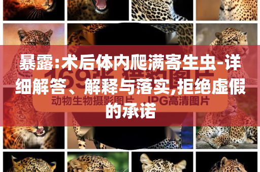 暴露:術(shù)后體內(nèi)爬滿寄生蟲-詳細(xì)解答、解釋與落實(shí),拒絕虛假的承諾
