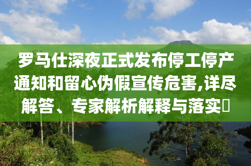 羅馬仕深夜正式發(fā)布停工停產通知和留心偽假宣傳危害,詳盡解答、專家解析解釋與落實?