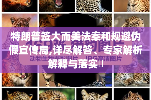 特朗普簽大而美法案和規(guī)避偽假宣傳局,詳盡解答、專家解析解釋與落實?