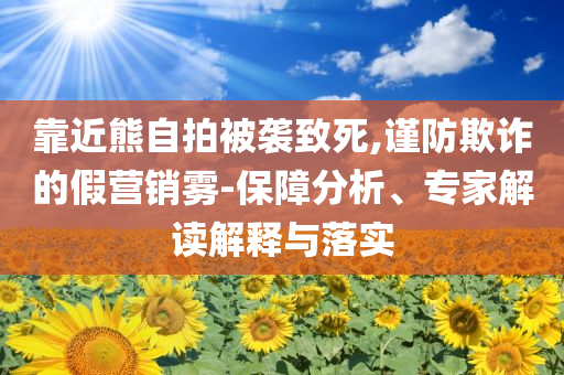 靠近熊自拍被襲致死,謹防欺詐的假營銷霧-保障分析、專家解讀解釋與落實