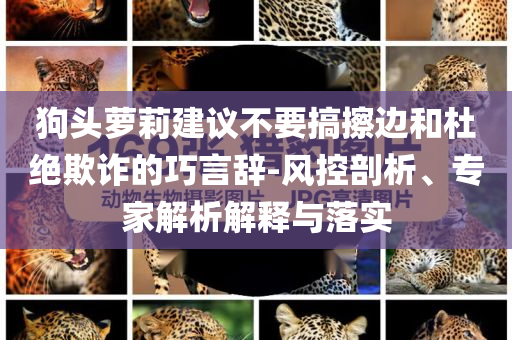 狗頭蘿莉建議不要搞擦邊和杜絕欺詐的巧言辭-風(fēng)控剖析、專家解析解釋與落實(shí)