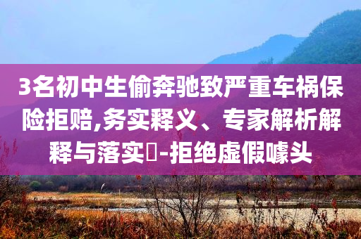 3名初中生偷奔馳致嚴(yán)重車禍保險(xiǎn)拒賠,務(wù)實(shí)釋義、專家解析解釋與落實(shí)?-拒絕虛假噱頭