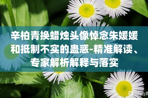 辛柏青換蠟燭頭像悼念朱媛媛和抵制不實的蠱惑-精準(zhǔn)解讀、專家解析解釋與落實