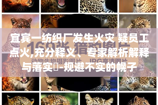 宜賓一紡織廠發(fā)生火災(zāi) 疑員工點(diǎn)火,充分釋義、專家解析解釋與落實(shí)?-規(guī)避不實(shí)的幌子