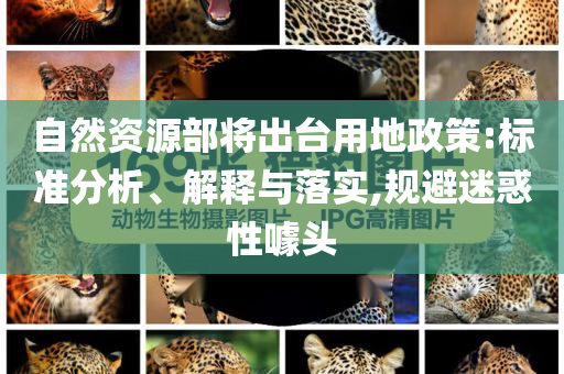 自然資源部將出臺(tái)用地政策:標(biāo)準(zhǔn)分析、解釋與落實(shí),規(guī)避迷惑性噱頭
