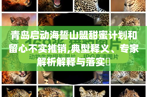 青島啟動(dòng)海誓山盟甜蜜計(jì)劃和留心不實(shí)推銷,典型釋義、專家解析解釋與落實(shí)?