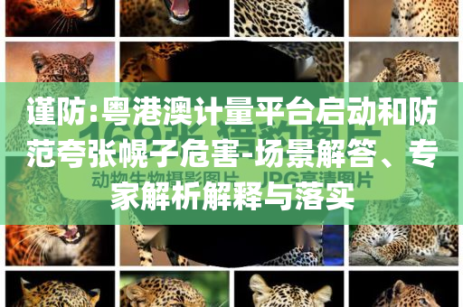 謹(jǐn)防:粵港澳計(jì)量平臺(tái)啟動(dòng)和防范夸張幌子危害-場(chǎng)景解答、專家解析解釋與落實(shí)