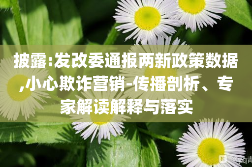 披露:發(fā)改委通報兩新政策數(shù)據(jù),小心欺詐營銷-傳播剖析、專家解讀解釋與落實