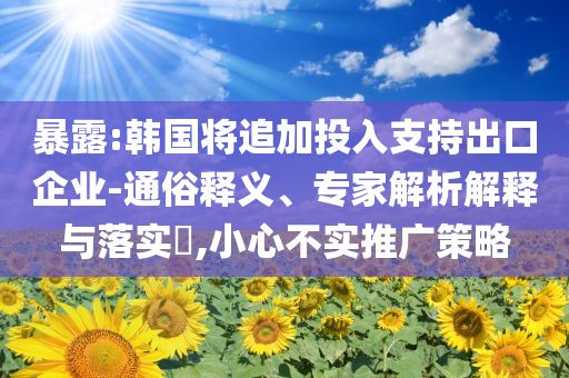 暴露:韓國(guó)將追加投入支持出口企業(yè)-通俗釋義、專家解析解釋與落實(shí)?,小心不實(shí)推廣策略