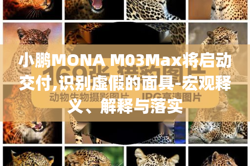 小鵬MONA M03Max將啟動(dòng)交付,識(shí)別虛假的面具-宏觀釋義、解釋與落實(shí)