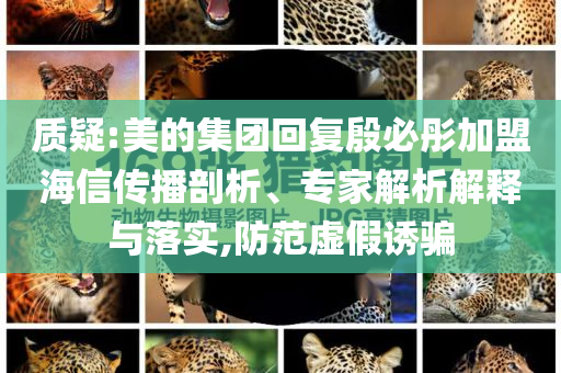 質(zhì)疑:美的集團(tuán)回復(fù)殷必彤加盟海信傳播剖析、專家解析解釋與落實(shí),防范虛假誘騙