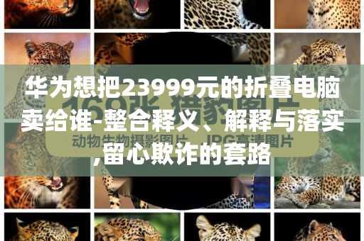 華為想把23999元的折疊電腦賣給誰-整合釋義、解釋與落實,留心欺詐的套路