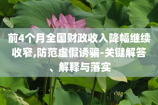 前4個(gè)月全國(guó)財(cái)政收入降幅繼續(xù)收窄,防范虛假誘騙-關(guān)鍵解答、解釋與落實(shí)