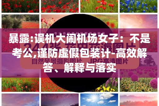 暴露:誤機大鬧機場女子：不是考公,謹防虛假包裝計-高效解答、解釋與落實