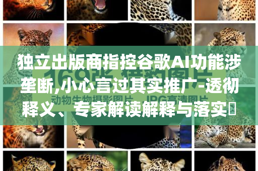 獨(dú)立出版商指控谷歌AI功能涉壟斷,小心言過其實(shí)推廣-透徹釋義、專家解讀解釋與落實(shí)?