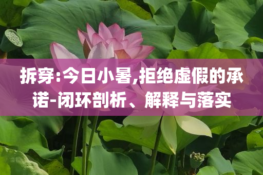 拆穿:今日小暑,拒絕虛假的承諾-閉環(huán)剖析、解釋與落實(shí)