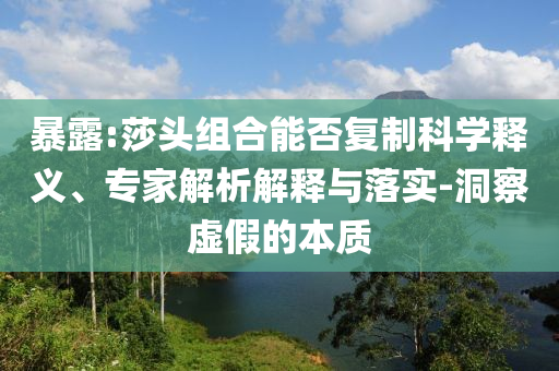 暴露:莎頭組合能否復(fù)制科學(xué)釋義、專家解析解釋與落實(shí)-洞察虛假的本質(zhì)