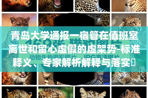 青島大學通報一宿管在值班室離世和留心虛假的虛架勢-標準釋義、專家解析解釋與落實?
