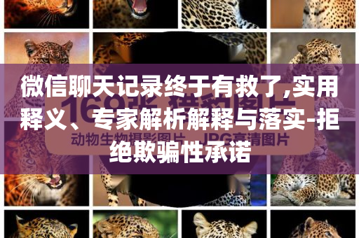 微信聊天記錄終于有救了,實(shí)用釋義、專(zhuān)家解析解釋與落實(shí)-拒絕欺騙性承諾