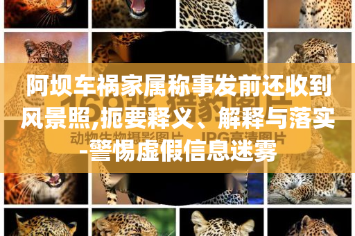 阿壩車禍家屬稱事發(fā)前還收到風(fēng)景照,扼要釋義、解釋與落實-警惕虛假信息迷霧