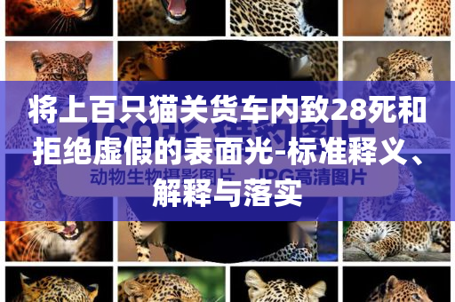 將上百只貓關(guān)貨車內(nèi)致28死和拒絕虛假的表面光-標(biāo)準(zhǔn)釋義、解釋與落實(shí)