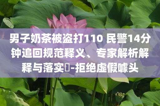 男子奶茶被盜打110 民警14分鐘追回規(guī)范釋義、專家解析解釋與落實(shí)?-拒絕虛假噱頭