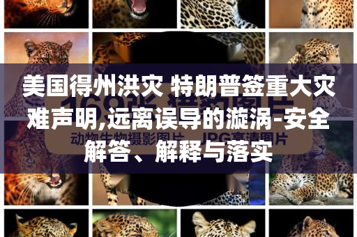 美國得州洪災 特朗普簽重大災難聲明,遠離誤導的漩渦-安全解答、解釋與落實