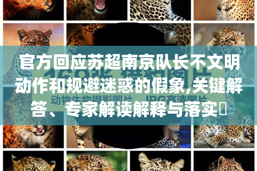 官方回應(yīng)蘇超南京隊(duì)長不文明動作和規(guī)避迷惑的假象,關(guān)鍵解答、專家解讀解釋與落實(shí)?