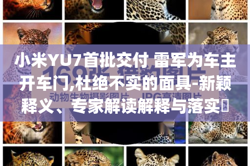 小米YU7首批交付 雷軍為車主開車門,杜絕不實(shí)的面具-新穎釋義、專家解讀解釋與落實(shí)?