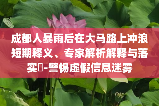 成都人暴雨后在大馬路上沖浪短期釋義、專家解析解釋與落實(shí)?-警惕虛假信息迷霧