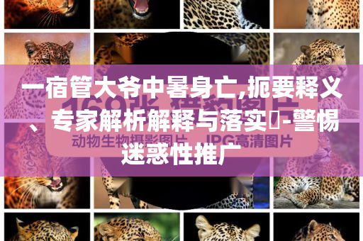 一宿管大爺中暑身亡,扼要釋義、專家解析解釋與落實(shí)?-警惕迷惑性推廣