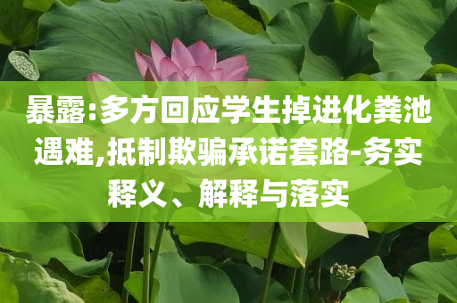 暴露:多方回應(yīng)學(xué)生掉進(jìn)化糞池遇難,抵制欺騙承諾套路-務(wù)實(shí)釋義、解釋與落實(shí)