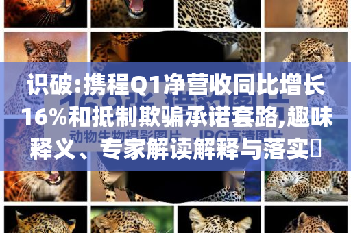 識破:攜程Q1凈營收同比增長16%和抵制欺騙承諾套路,趣味釋義、專家解讀解釋與落實?