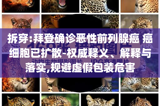 拆穿:拜登確診惡性前列腺癌 癌細(xì)胞已擴(kuò)散-權(quán)威釋義、解釋與落實(shí),規(guī)避虛假包裝危害