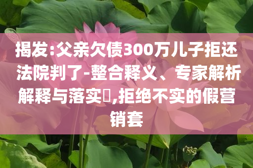 揭發(fā):父親欠債300萬兒子拒還 法院判了-整合釋義、專家解析解釋與落實(shí)?,拒絕不實(shí)的假營銷套