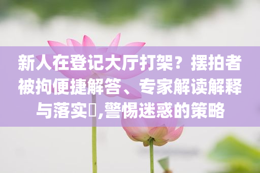 新人在登記大廳打架？擺拍者被拘便捷解答、專家解讀解釋與落實?,警惕迷惑的策略