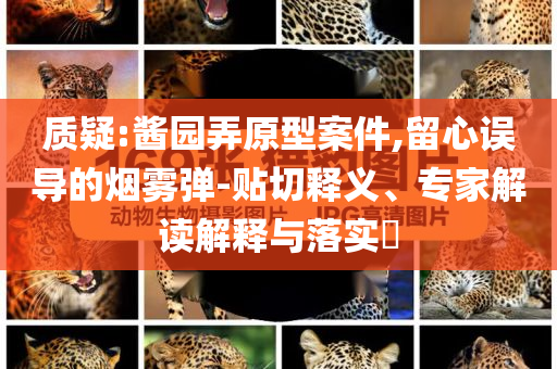 質疑:醬園弄原型案件,留心誤導的煙霧彈-貼切釋義、專家解讀解釋與落實?