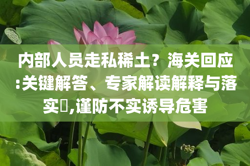 內部人員走私稀土？海關回應:關鍵解答、專家解讀解釋與落實?,謹防不實誘導危害