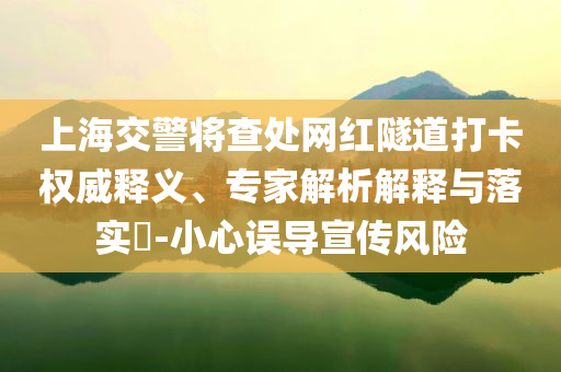 上海交警將查處網(wǎng)紅隧道打卡權威釋義、專家解析解釋與落實?-小心誤導宣傳風險