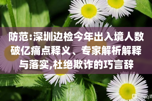 防范:深圳邊檢今年出入境人數(shù)破億痛點釋義、專家解析解釋與落實,杜絕欺詐的巧言辭