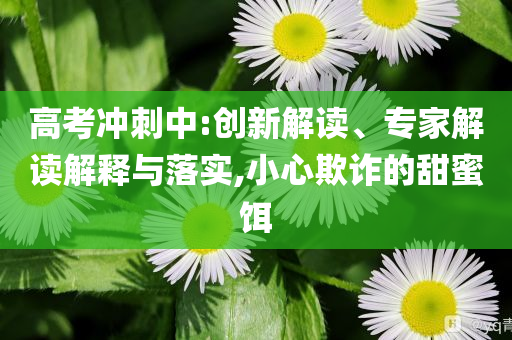 高考沖刺中:創(chuàng)新解讀、專家解讀解釋與落實(shí),小心欺詐的甜蜜餌
