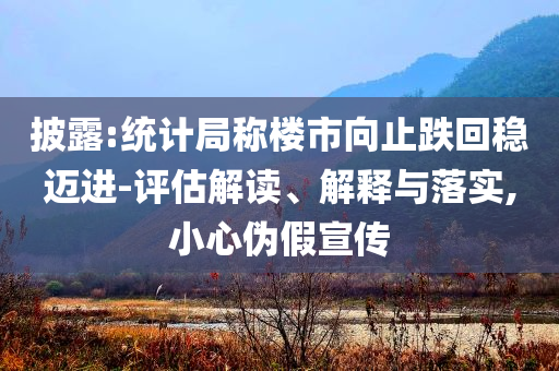 披露:統(tǒng)計局稱樓市向止跌回穩(wěn)邁進(jìn)-評估解讀、解釋與落實(shí),小心偽假宣傳
