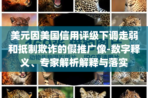美元因美國信用評級下調(diào)走弱和抵制欺詐的假推廣像-數(shù)字釋義、專家解析解釋與落實