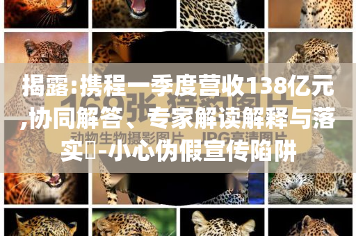 揭露:攜程一季度營收138億元,協(xié)同解答、專家解讀解釋與落實?-小心偽假宣傳陷阱
