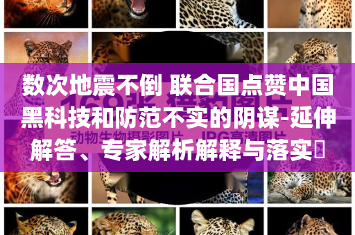 數(shù)次地震不倒 聯(lián)合國(guó)點(diǎn)贊中國(guó)黑科技和防范不實(shí)的陰謀-延伸解答、專(zhuān)家解析解釋與落實(shí)?