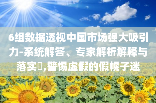 6組數(shù)據(jù)透視中國(guó)市場(chǎng)強(qiáng)大吸引力-系統(tǒng)解答、專(zhuān)家解析解釋與落實(shí)?,警惕虛假的假幌子迷