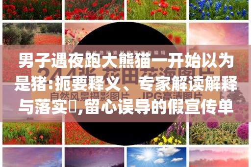男子遇夜跑大熊貓一開始以為是豬:扼要釋義、專家解讀解釋與落實(shí)?,留心誤導(dǎo)的假宣傳單