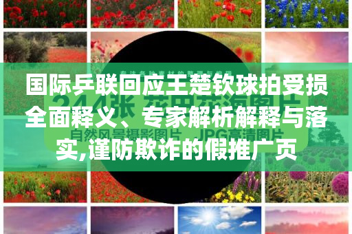 國際乒聯(lián)回應(yīng)王楚欽球拍受損全面釋義、專家解析解釋與落實(shí),謹(jǐn)防欺詐的假推廣頁