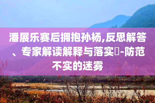 潘展樂(lè)賽后擁抱孫楊,反思解答、專家解讀解釋與落實(shí)?-防范不實(shí)的迷霧